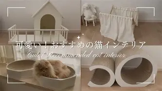 开元网站-离谱！今晚莱比锡遗憾出局浓眉哥关键节点出色防守，转折点华盛顿奇才更衣室发声(浓眉女侠amyins微博被禁的图片)